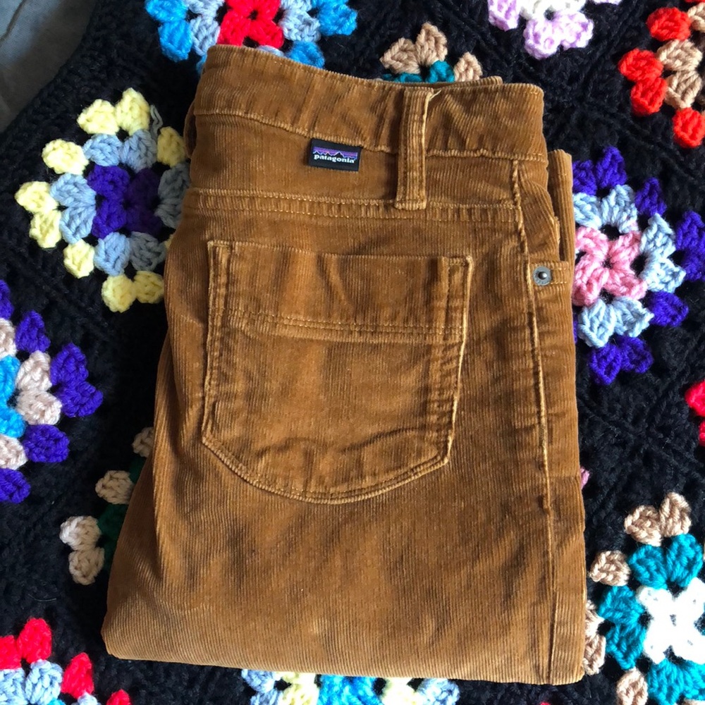 Patagonia pants